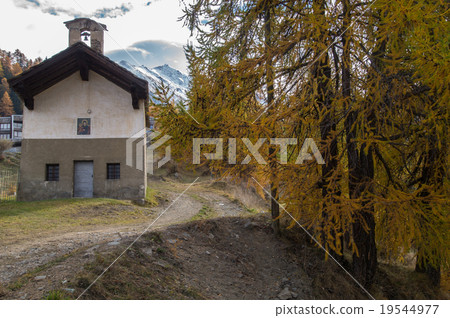 Autumn in Italian Alps 19544977
