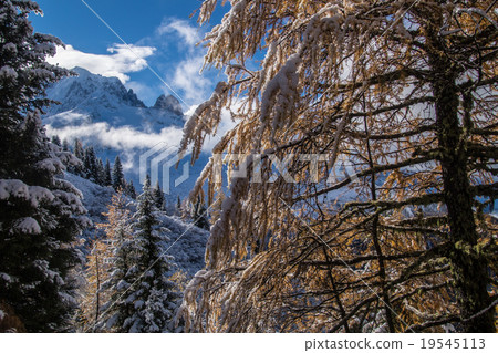 pecleret,chamonix,haute savoie,france 19545113