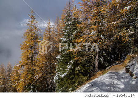 autumn and winter in the French alps 19545114