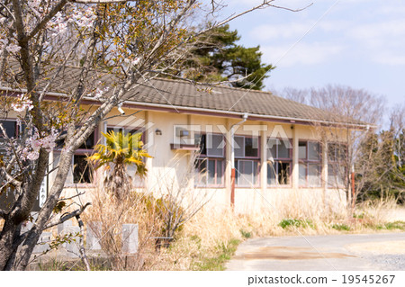 貓的天堂“田代島”學校遺址離開現場 19545267