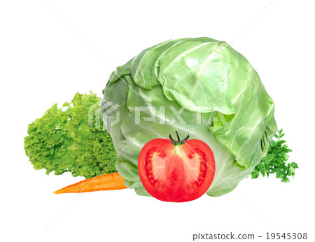 fresh vegetables isolated on white fresh vegetables isolated on white 19545308