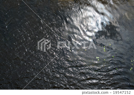 Water surface with ripples and water plants 19547152