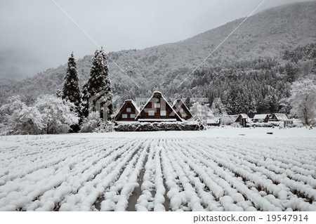 Snow Shirakawa Town 19547914