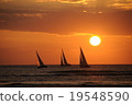 日落和遊艇/夏威夷 19548590