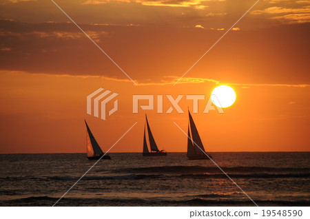 日落和遊艇/夏威夷 19548590
