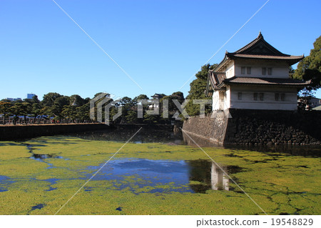 Tsai Imperial Palace Tsai Imperial Palace 19548829