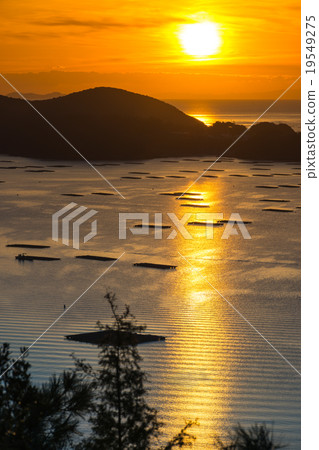 Sunrise from Mamori Bay 19549275