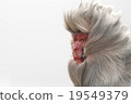 A monkey 19549379