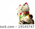 Lucky luck catching up from the inviting cat 19549747