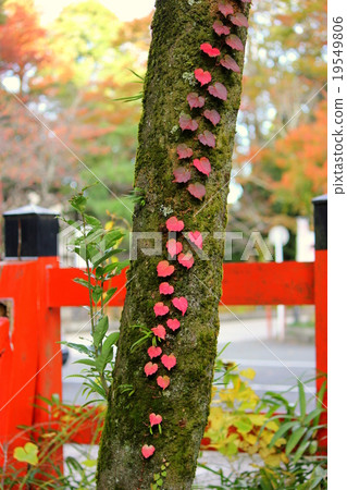 Nature's Heart 19549806