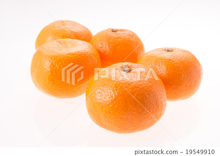 Mandarin orange  19549910