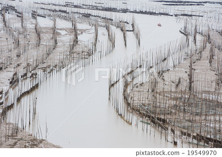 Seaweed farm Seaweed farm 19549970