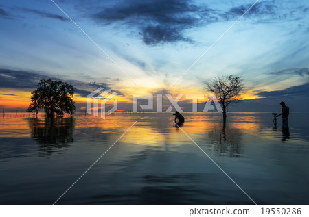 Sunrise at Pakpra 19550286