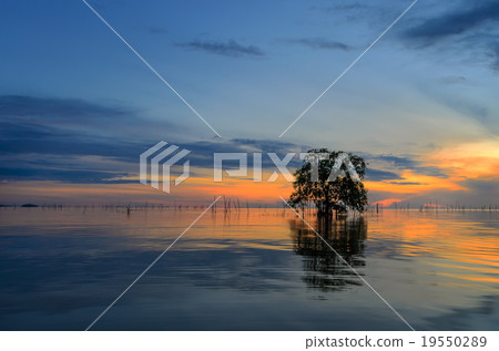 Sunrise at Pakpra Sunrise at Pakpra 19550289