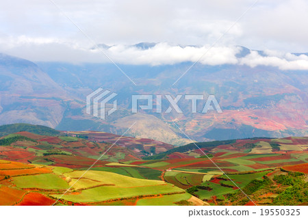 Red land Red land 19550325