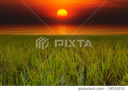 Sunrise at Pakpra Sunrise at Pakpra 19550332