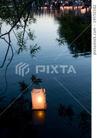 燈籠花束西雅圖 19550382