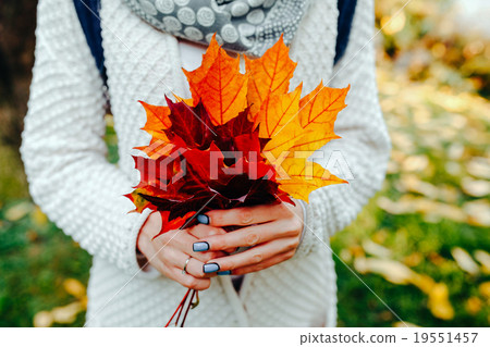 Autumn leaves in girl hands 19551457