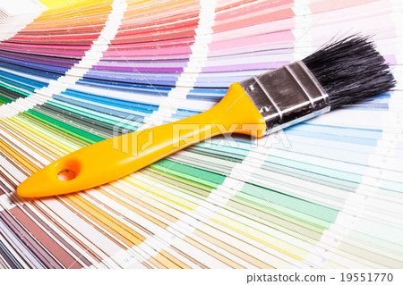 The Color palette 19551770