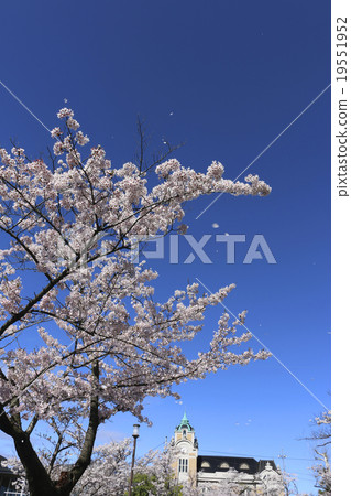 Koriyama city public hall of spring 19551952