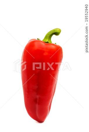 red pepper isolated 19552940