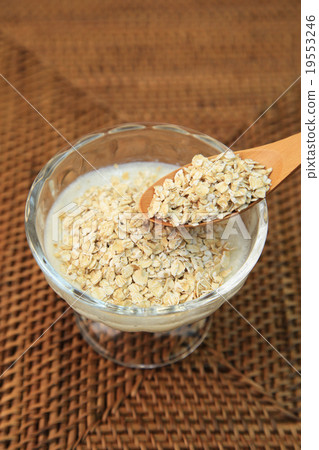 oatmeal oatmeal 19553246