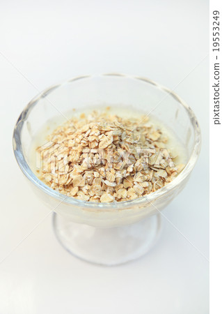 oatmeal oatmeal 19553249