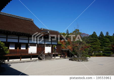 The sightseeing spot "Ninna-ji" in Kyoto: Hall and South garden 19553961