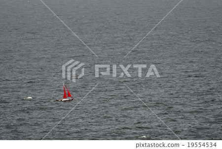 Catamaran 19554534