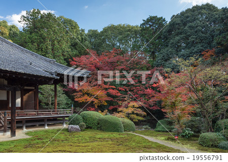 Autumn death center monarchy Autumn death center monarchy 19556791