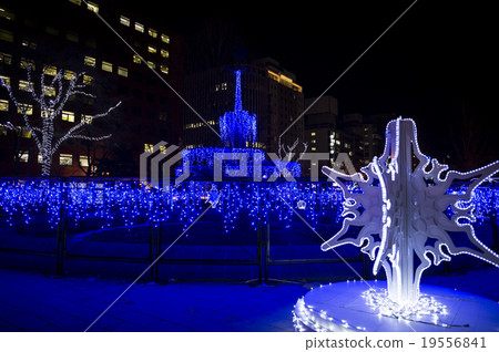 札幌白色照明2015 札幌白色照明2015 19556841