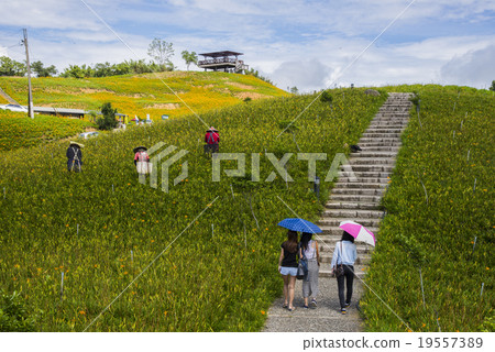 台灣六十石山 台灣六十石山 19557389