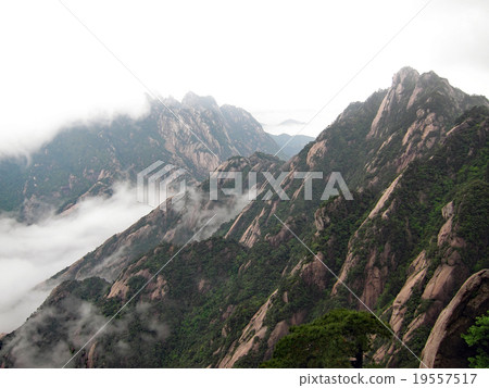 Meishan Huangshan of China Meishan Huangshan of China 19557517