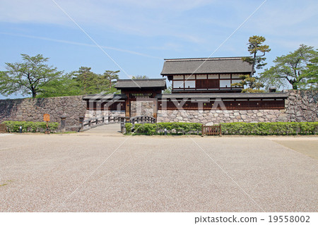 松城城 19558002