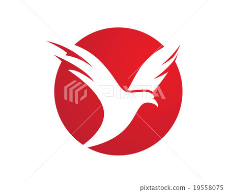 Falcon Bird  Logo Template Vector 19558075