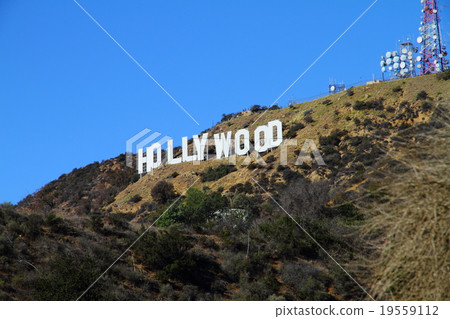 Hollywood Sign 19559112