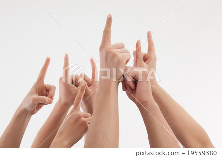 Arm Body Parts Fingers Arm Body Parts Fingers 19559380