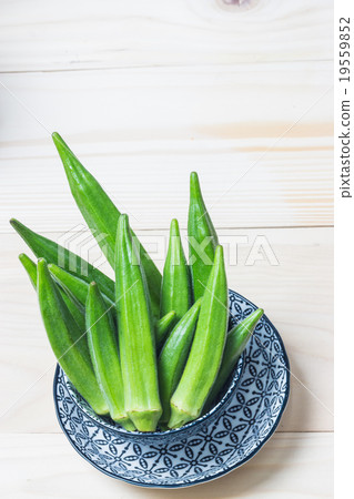 Organic Green Okra Vegetable Organic Green Okra Vegetable 19559852