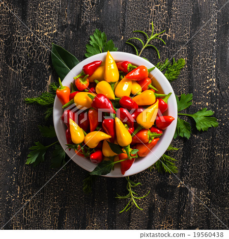top view of plate with red and yellow peppers top view of plate with red and yellow peppers 19560438