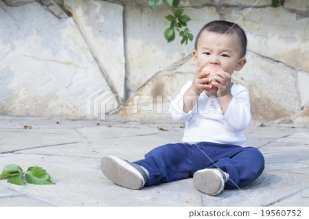 Cute Chinese baby boy eating an apple Cute Chinese baby boy eating an apple 19560752