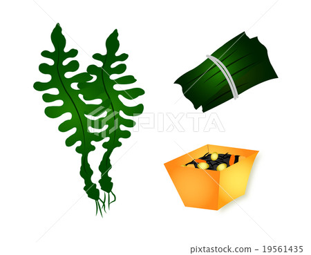 Seaweed kelp cute illustrations 19561435