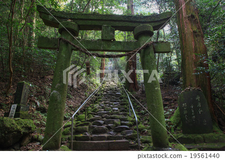 熊野拋光懸崖佛像石階 熊野拋光懸崖佛像石階 19561440