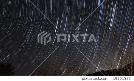 Star  19561585