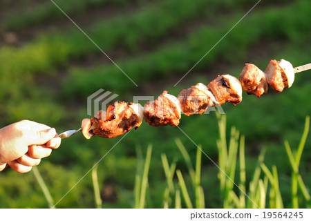 The hand holds a barbecue against a grass The hand holds a barbecue against a grass 19564245