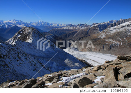 View from Mt Eggishorn, Swiss Alps 19564595