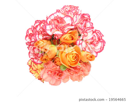 Roses and carnations Roses and carnations 19564665