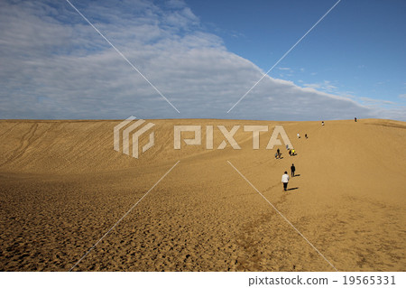 Tottori sand dunes Tottori sand dunes 19565331