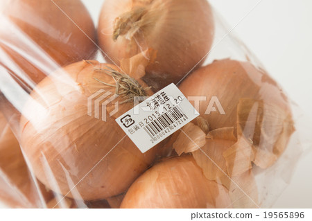 Onion 19565896