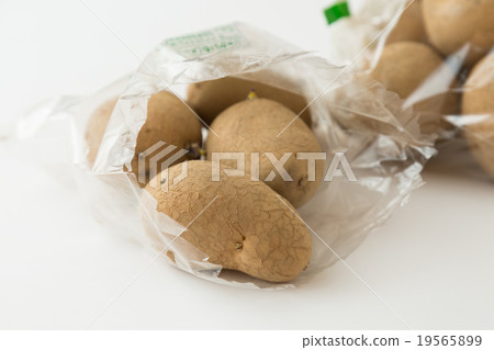 土豆 19565899
