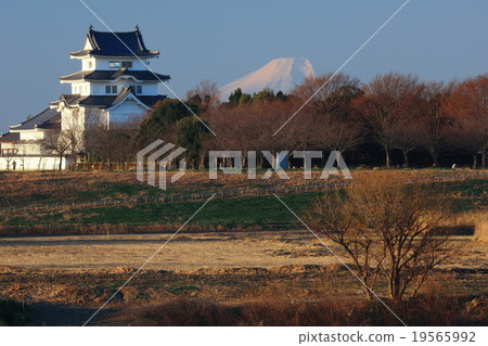 Sekijuku Castle and Fuji 19565992